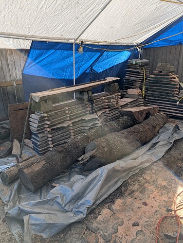 PXL_20251130_192327076.MP